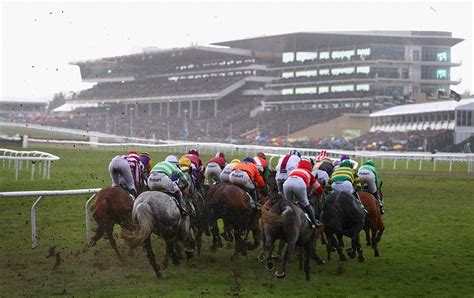 cheltenham festival 2020|Cheltenham Festival race results: All the winners from Prestbury .